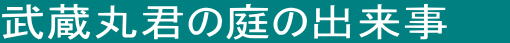 武蔵丸君の庭の出来事    